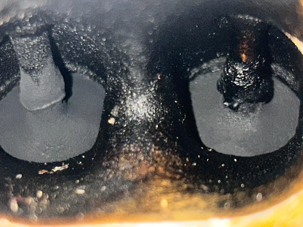Valves covered in a thick, black layer of carbon buildup